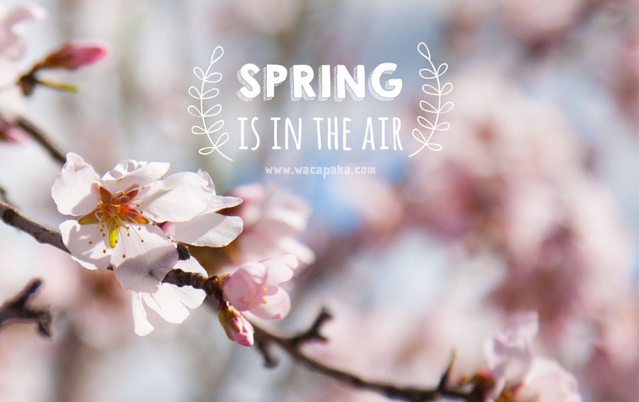 «Spring is in the air!» Lo dice este fondo de pantalla